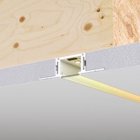 TruLine 1A Warm Dim 24VDC, 5/8