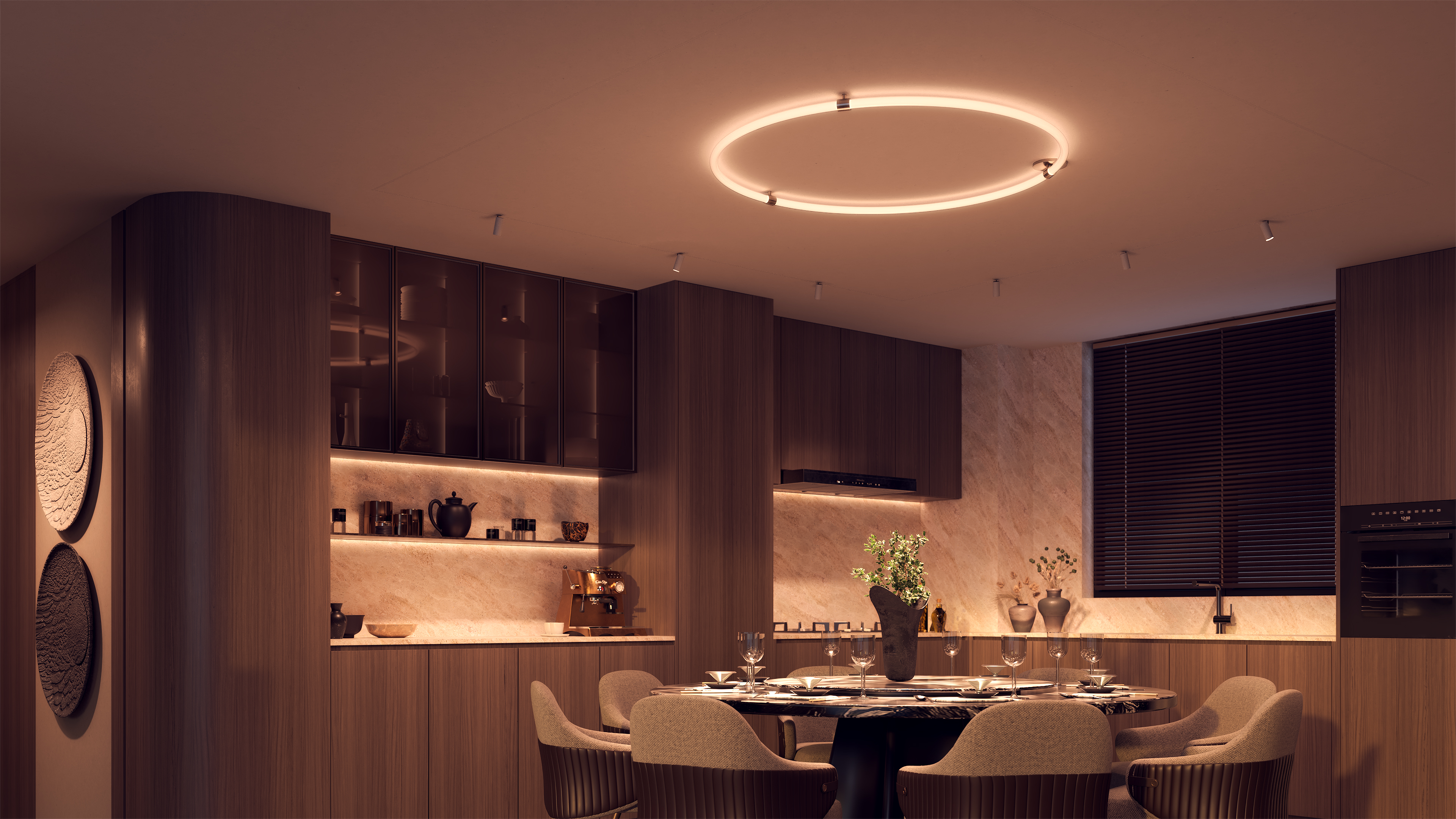 Solina 360 Hoop Ceiling 24VDC With Power, Static White & Warm Dim
