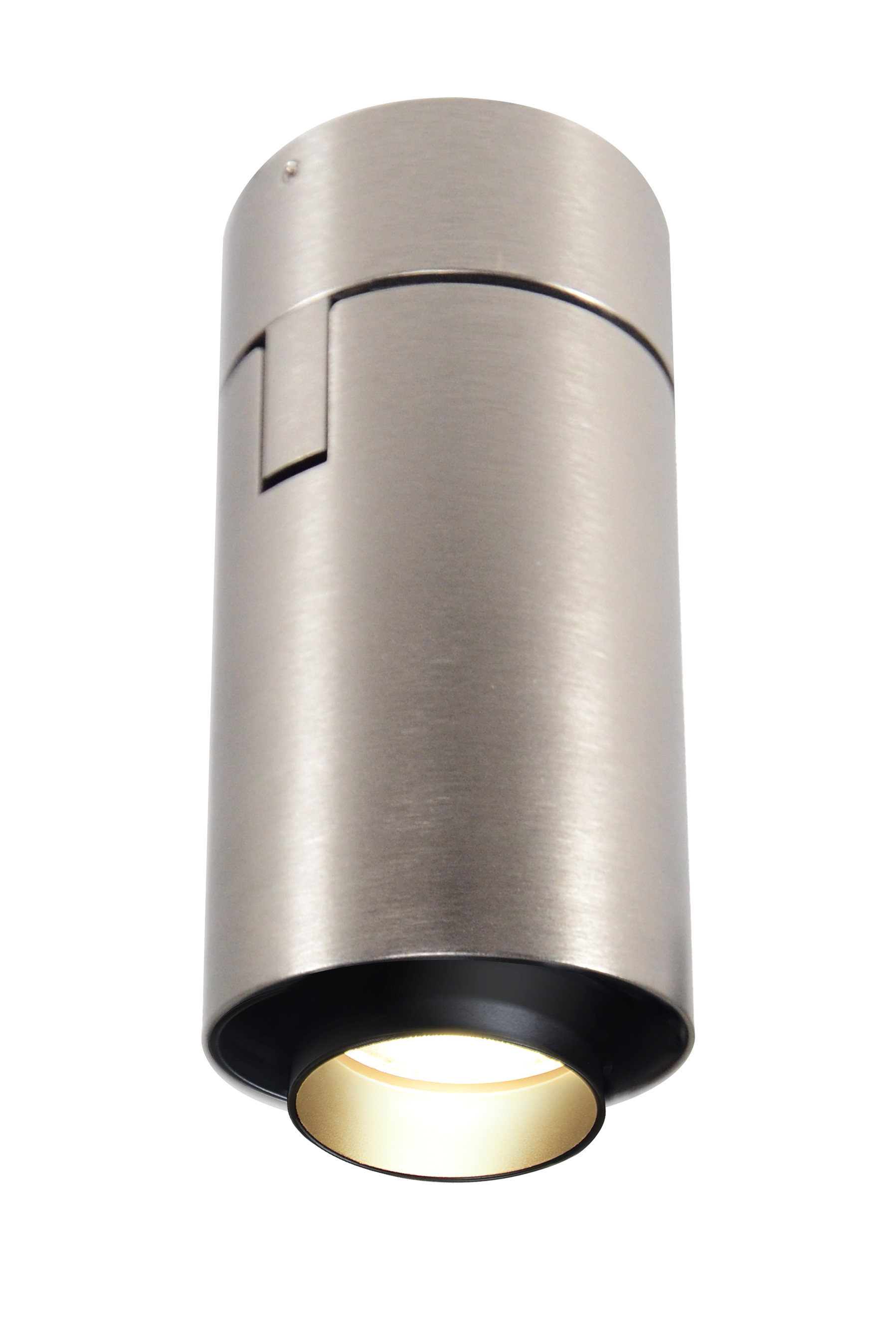 Big Shorty Adjustable Ceiling LED Ceiling Downlight, Satin Nickel, with Snoot - Click to Enlarge