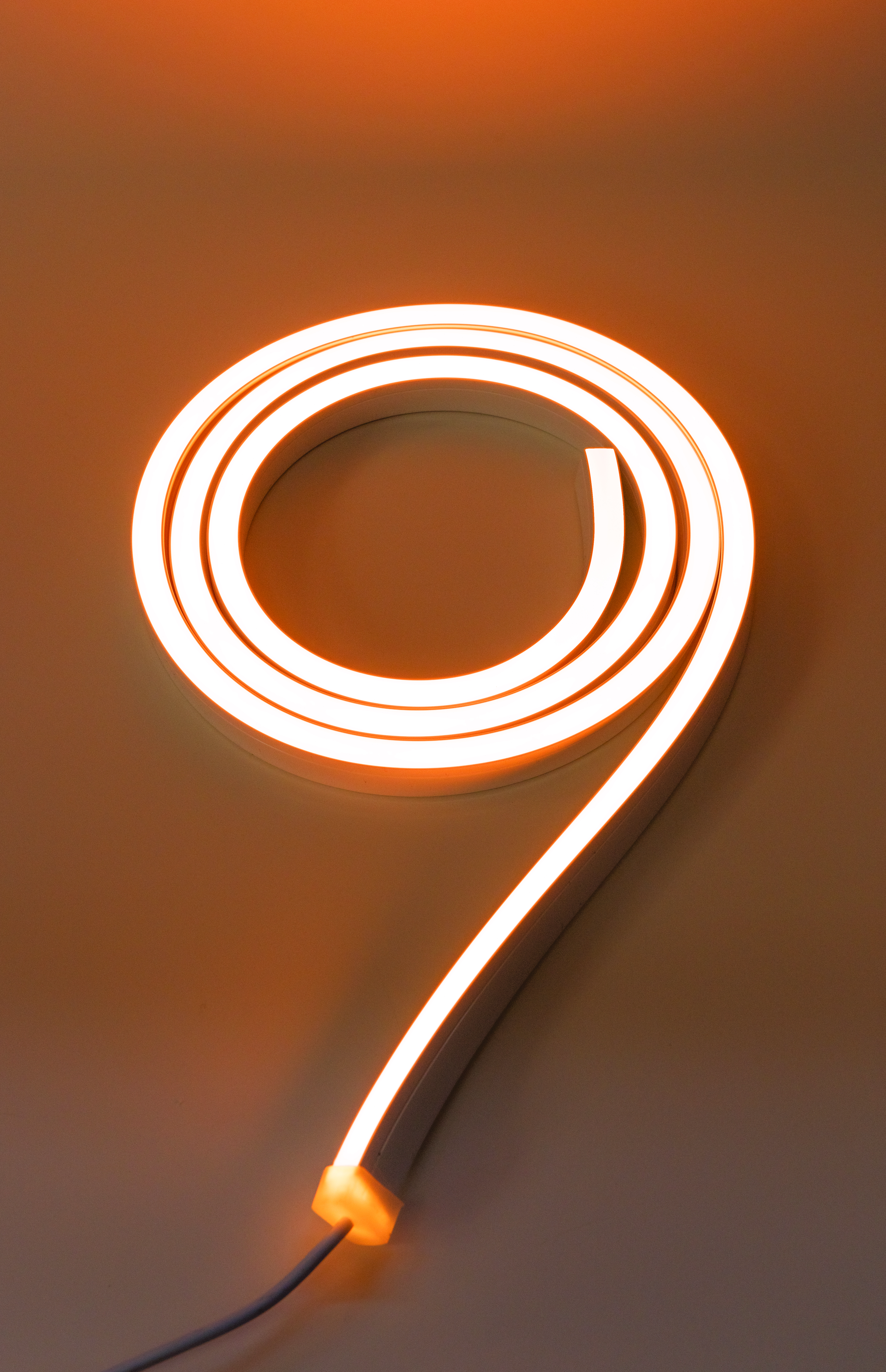 Flex Neon LRF5 br   Bends Left Right 0 5  br   Flat Lens br   24VDC Outdoor   Indoor br   Monochromatic