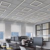 FreeForm T-Bar Ceiling 24VDC Remote Power, Matte White Lens Or Deep Cell Reflector - Click to Enlarge