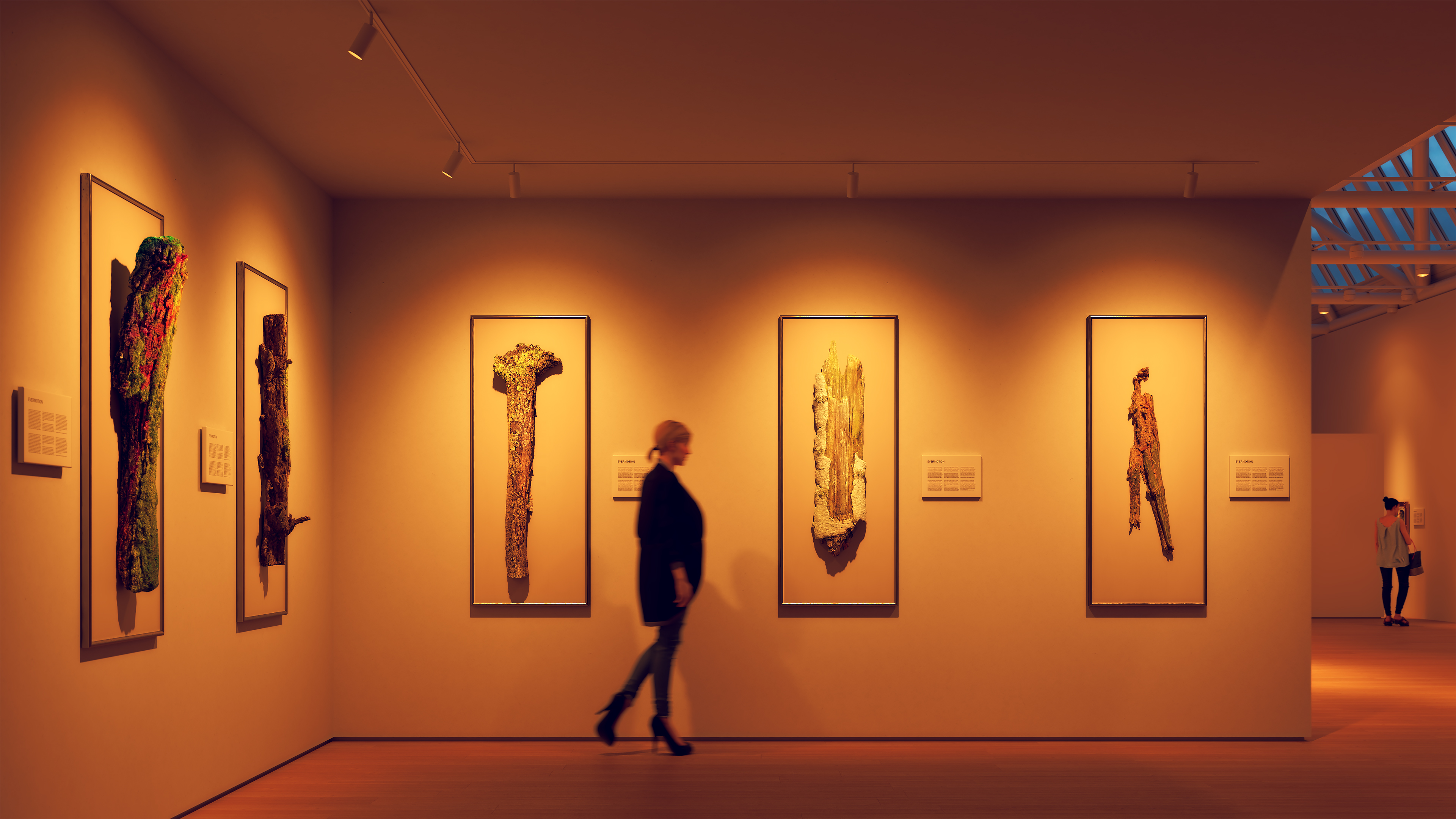 TruTrack&reg; Trim - Magnetic 24VDC Remote Power, Recessed Two-Circuit Track System, 1/2" Trim