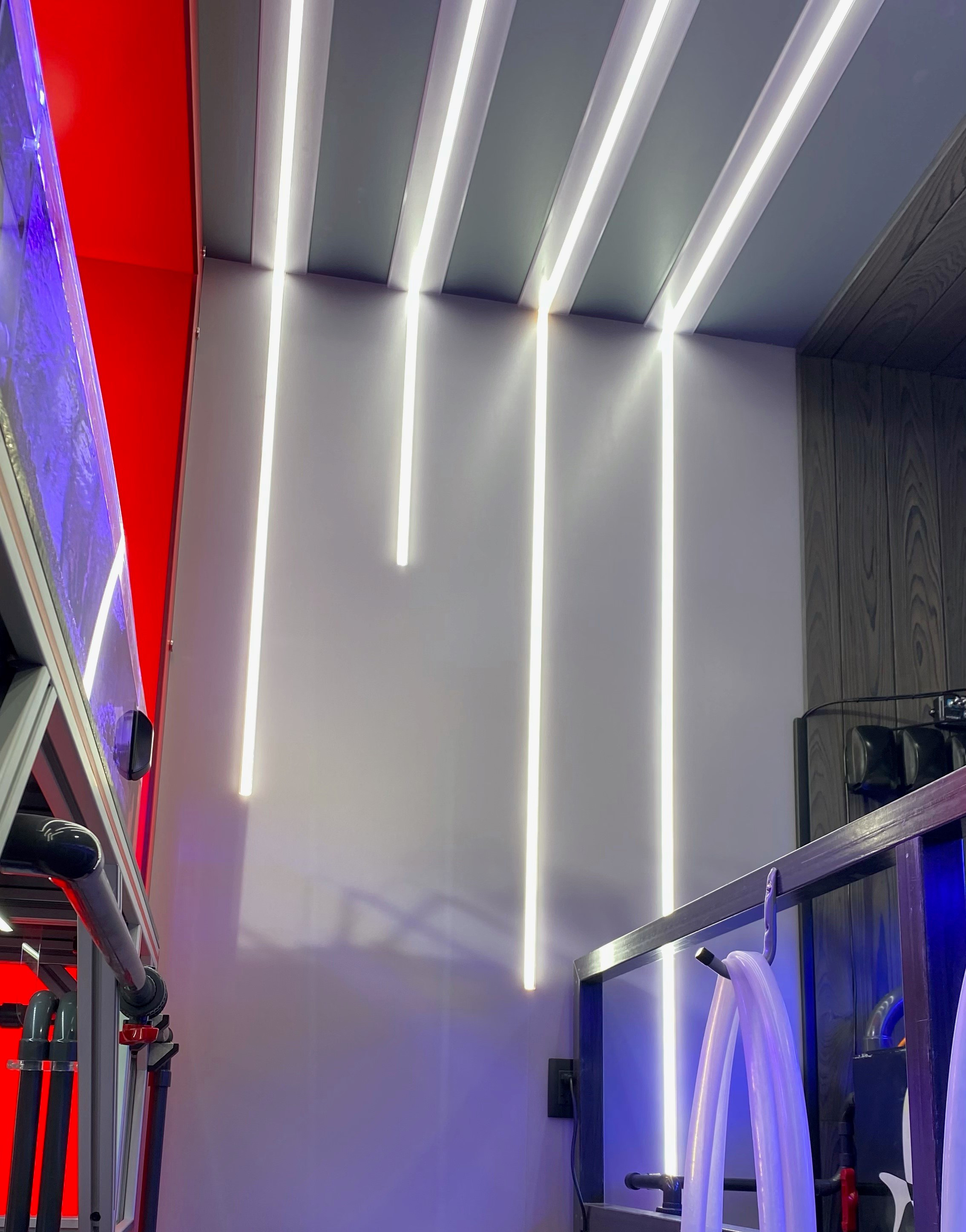 Flex Neon LRF7 0.7" Flat Lens Indoor/Outdoor 24VDC, 2W | 5W | 7W Bends Left/Right Static White, Warm Dim & Tunable White