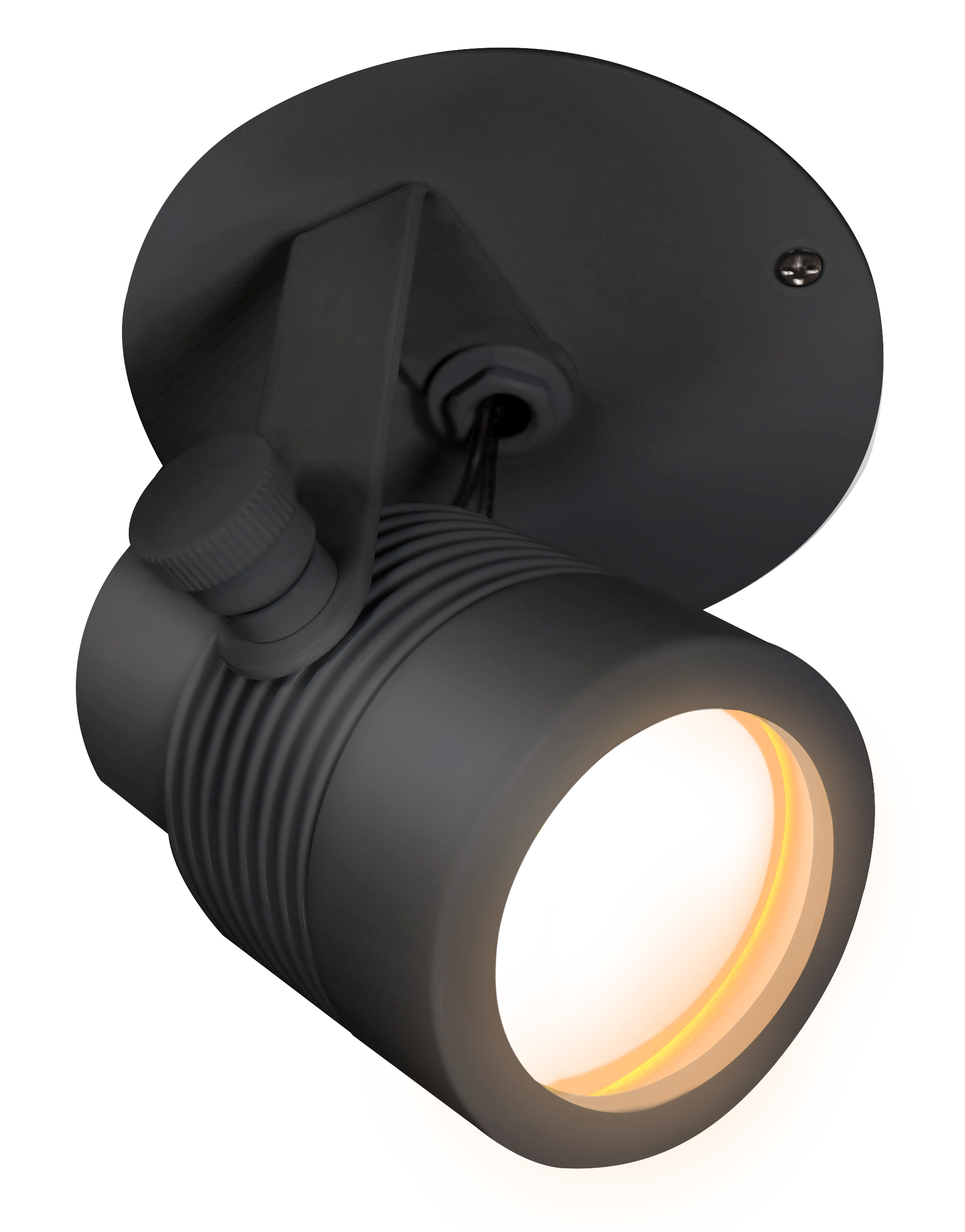 Outdoor Monopoint Micro Fixture 12V Surface Mount, Black with Canopy - Click to Enlarge