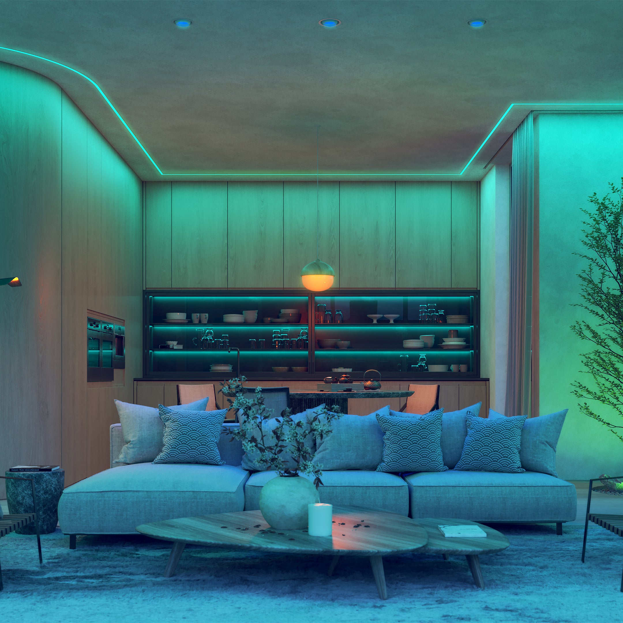 TruCurve DIY .5 24VDC Do-It-Yourself Plaster-In LED System - Click to Enlarge