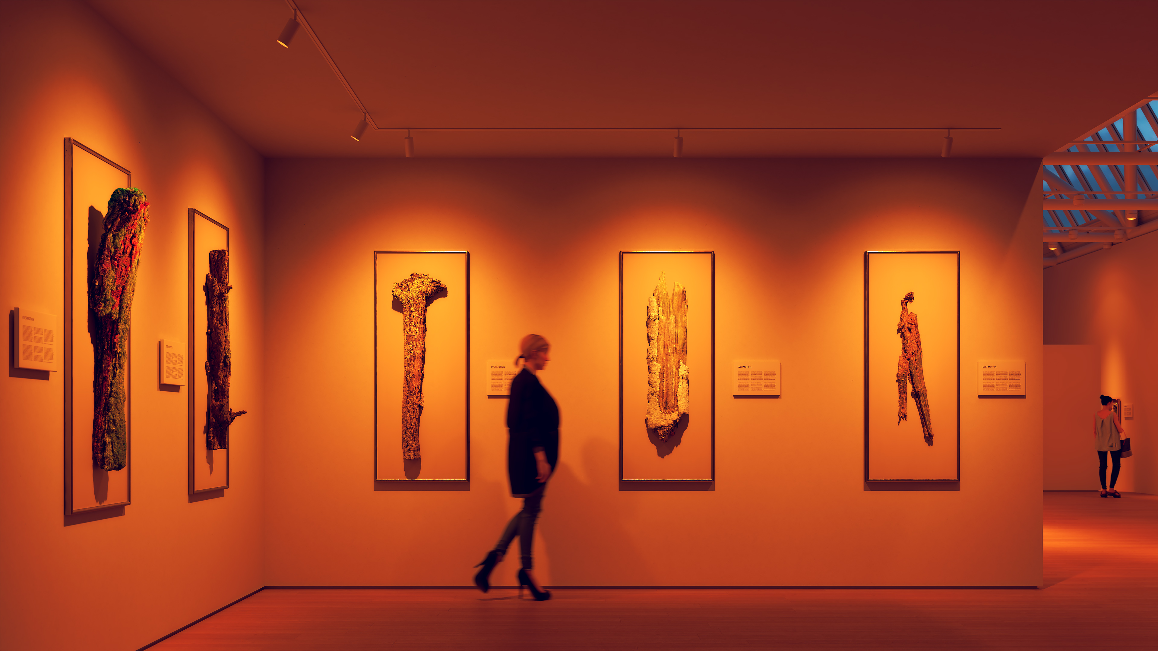 TruTrack&reg; Trim - Magnetic 24VDC Remote Power, Recessed Two-Circuit Track System, 1/2" Trim