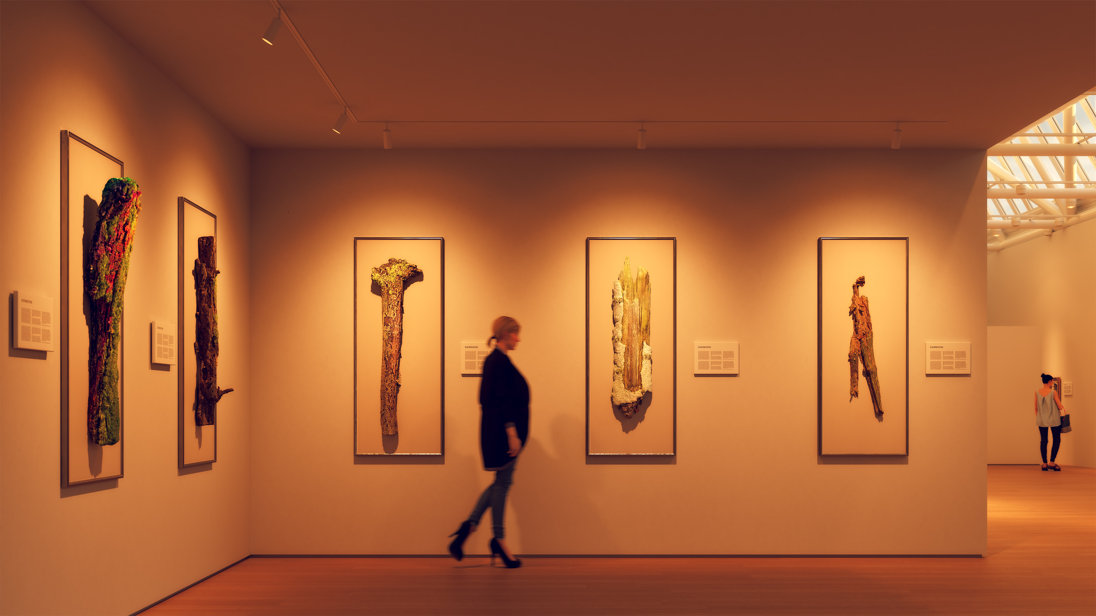 TruTrack&reg; Trim - Magnetic 24VDC Remote Power, Recessed Two-Circuit Track System, 1/2" Trim