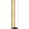 Twiggy D1 Vanity/Wall 24VDC, Static White & Warm Dim, Satin Brass with Black Canopy and End Caps - Click to Enlarge