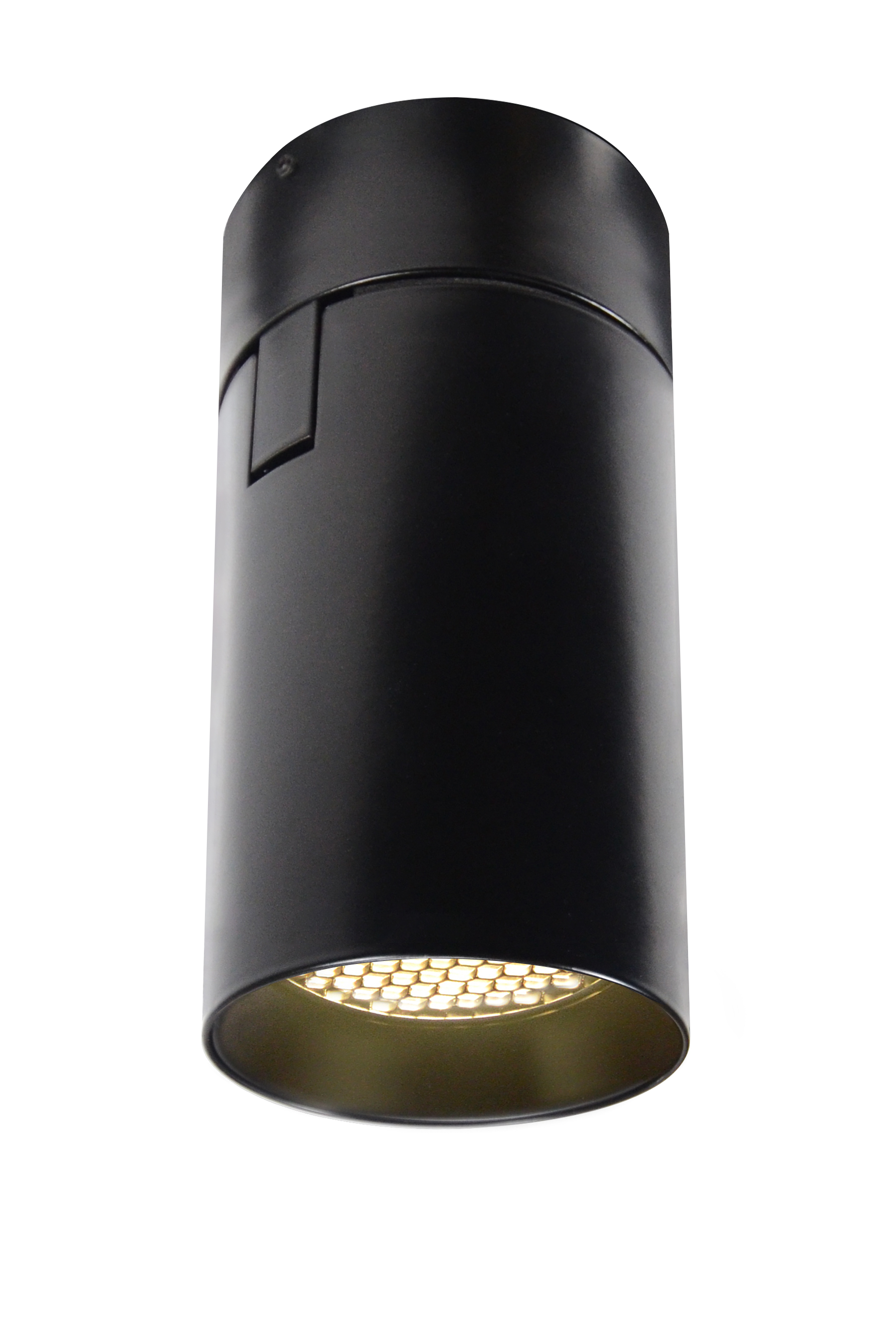 Big Shorty Adjustable Ceiling LED Ceiling Downlight, Satin Black, with Louver - Click to Enlarge