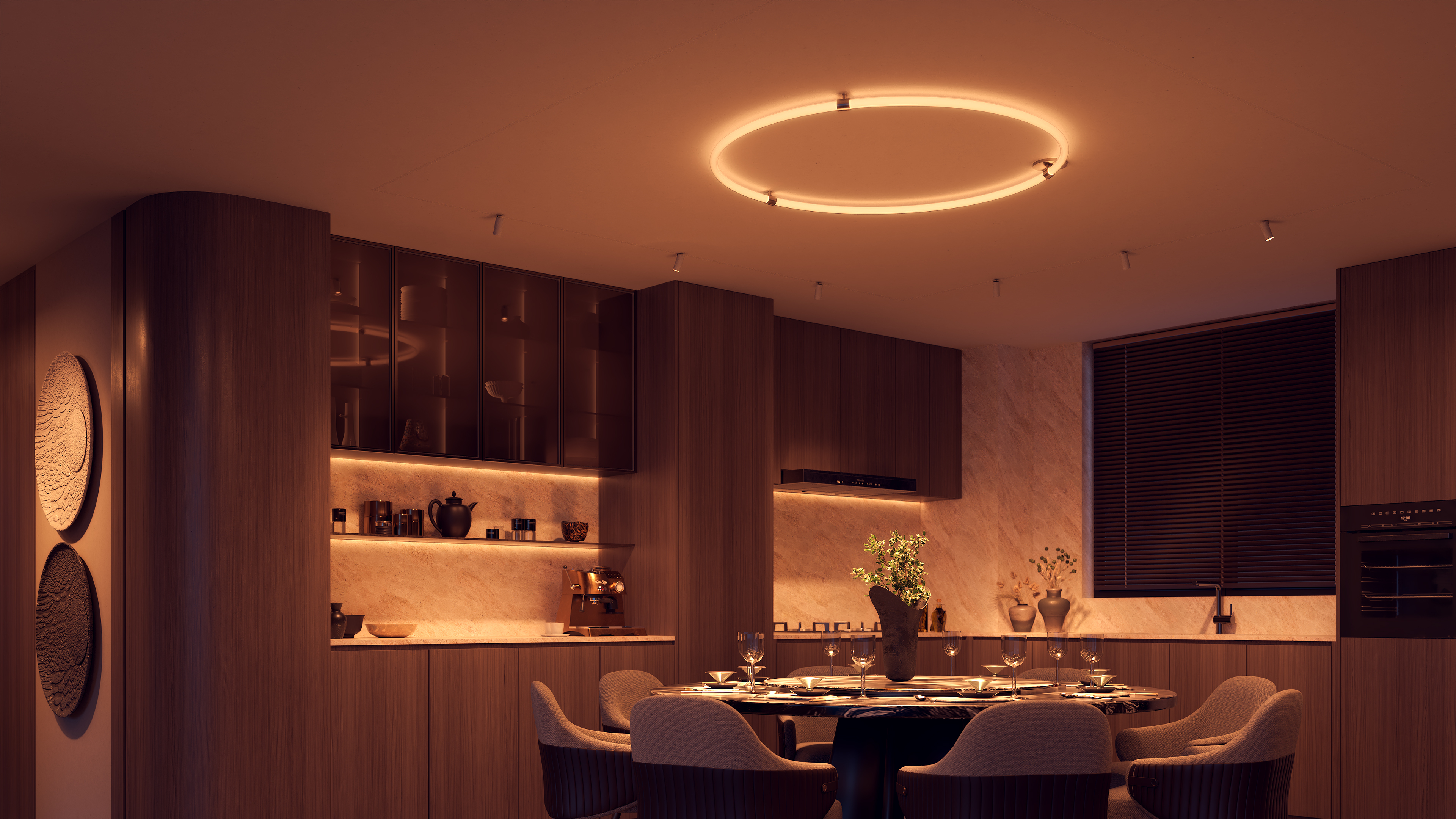 Solina 360 Hoop Ceiling 24VDC With Power, Static White & Warm Dim - Click to Enlarge