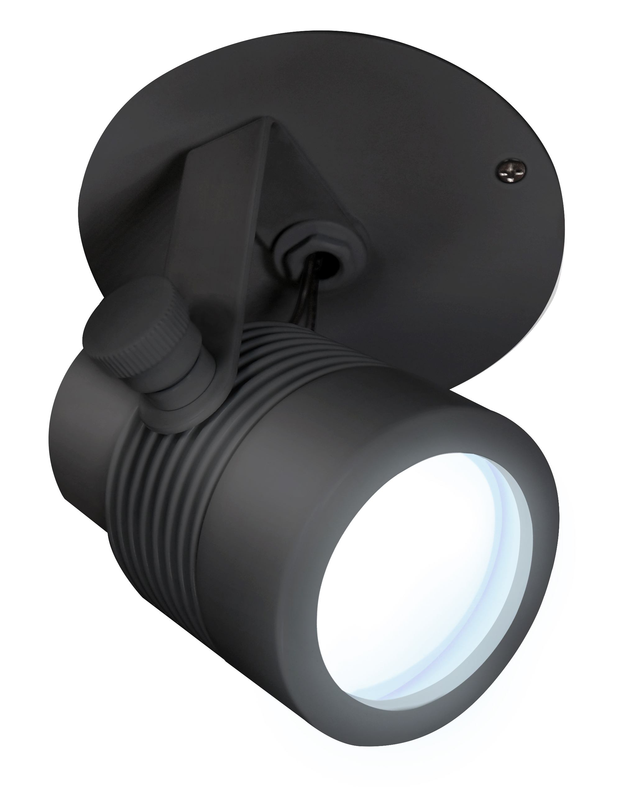 Outdoor Monopoint Micro Fixture 12V Surface Mount, Black with Canopy - Click to Enlarge