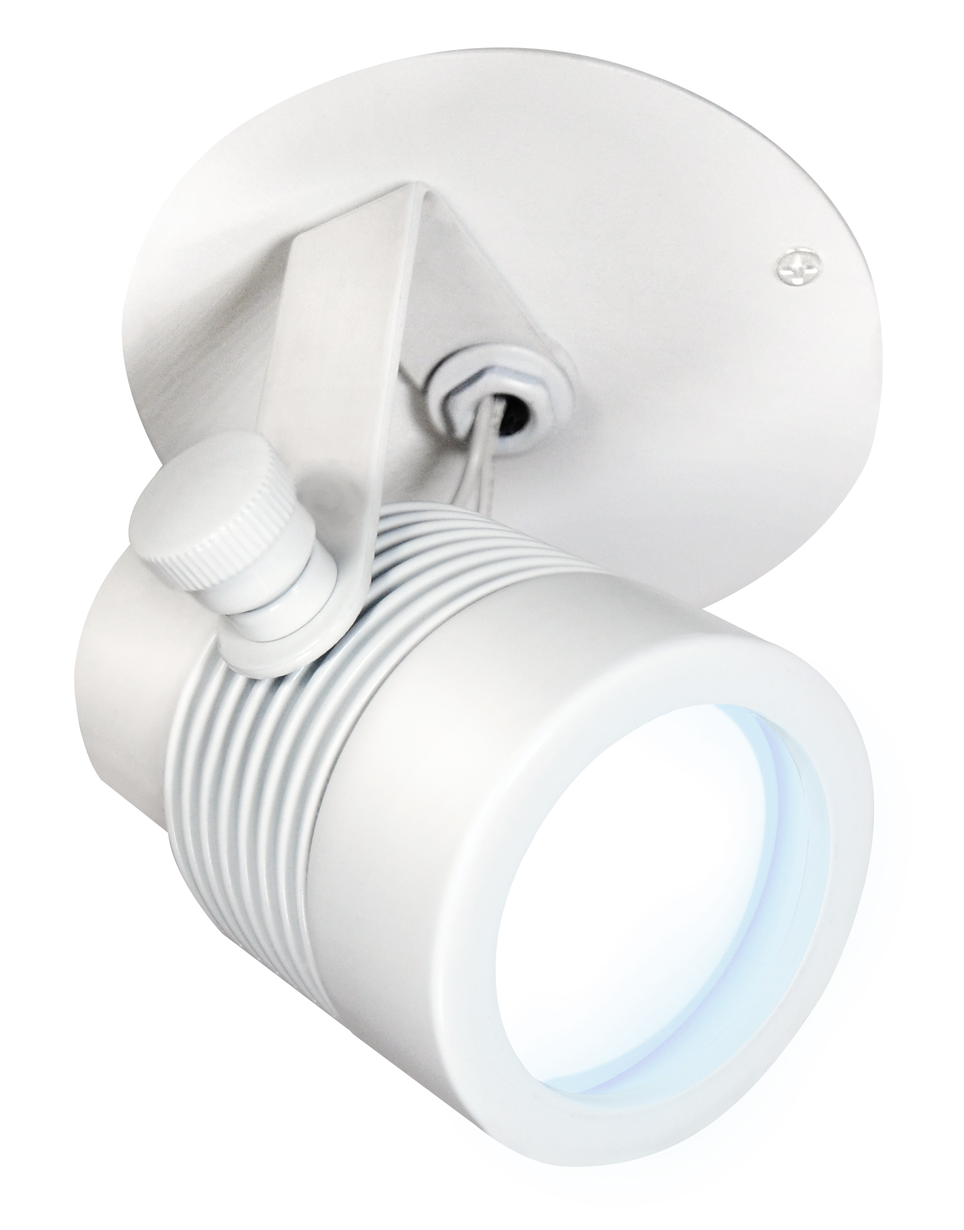 Outdoor Monopoint Micro Fixture 12V Surface Mount, White with Canopy - Click to Enlarge