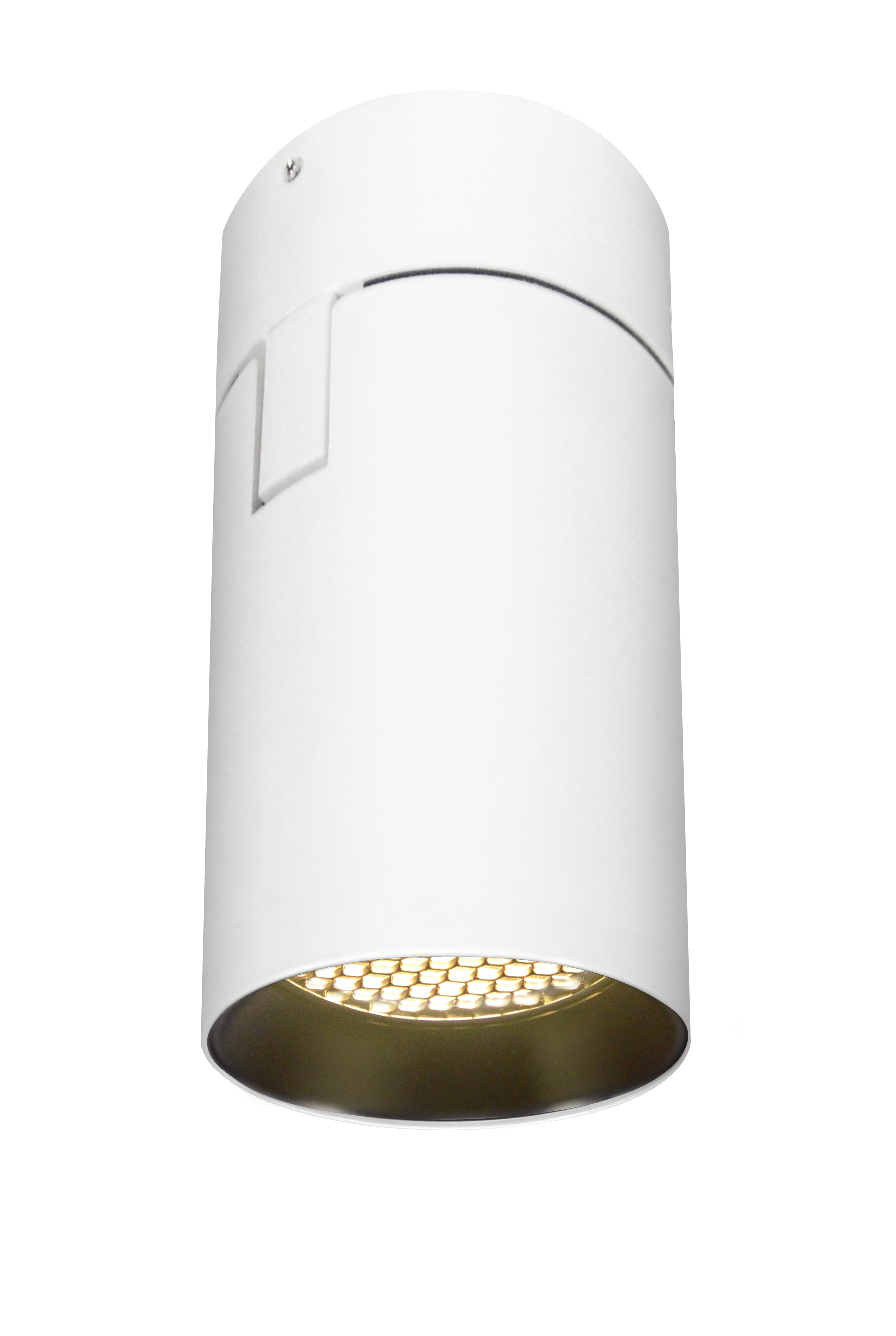 Big Shorty Adjustable Ceiling LED Ceiling Downlight, White, with Louver - Click to Enlarge