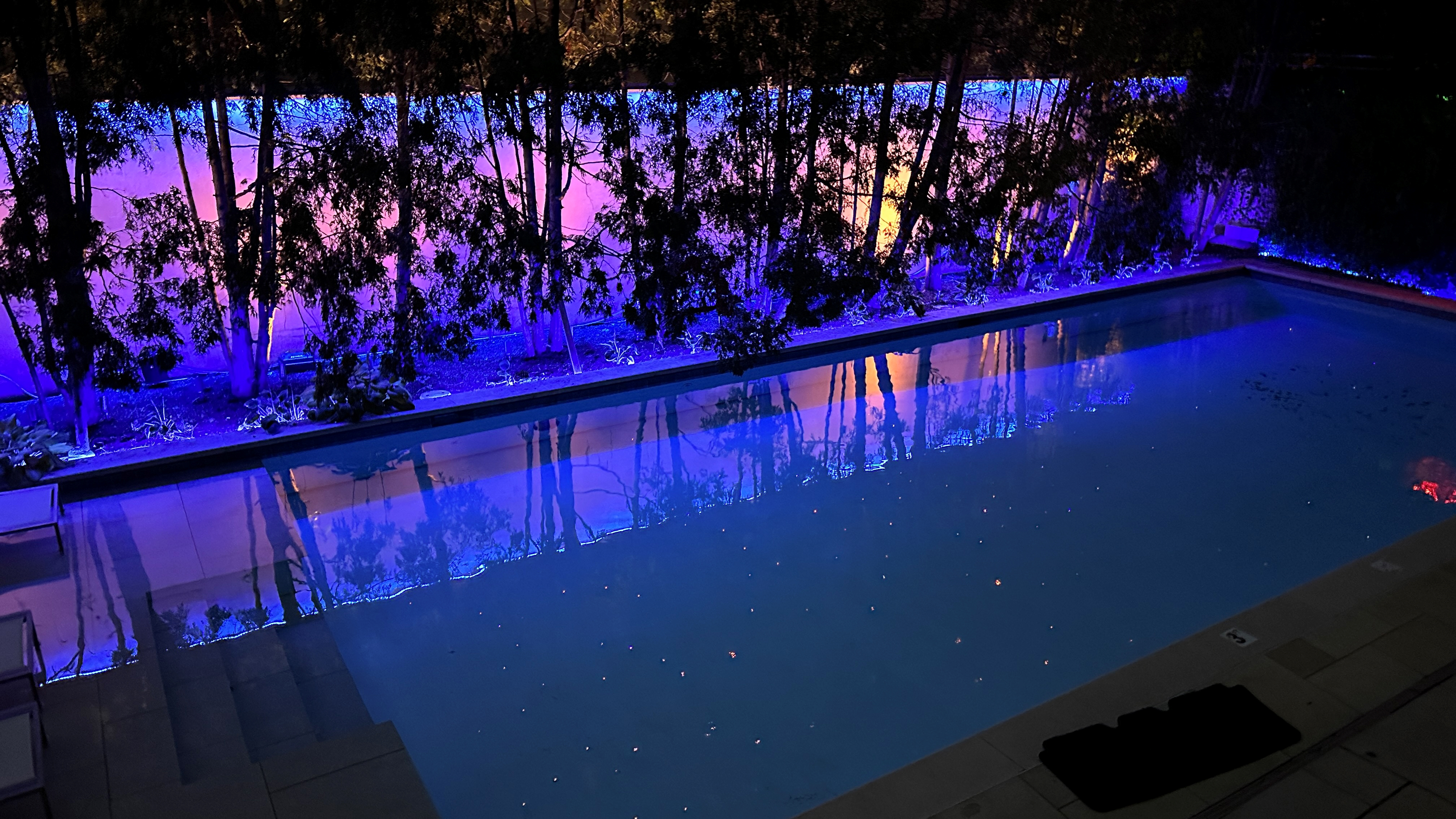 Flex Neon LRUDR8, 0.8" Round Lens Indoor/Outdoor 24VDC, Left/Right & Up/Down Bend, TruColor&trade; RGBTW