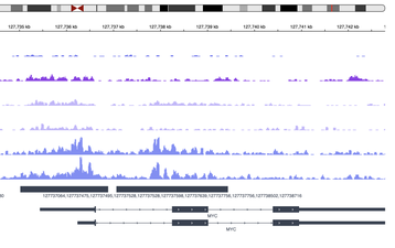 Integrative Genome IGV plot example