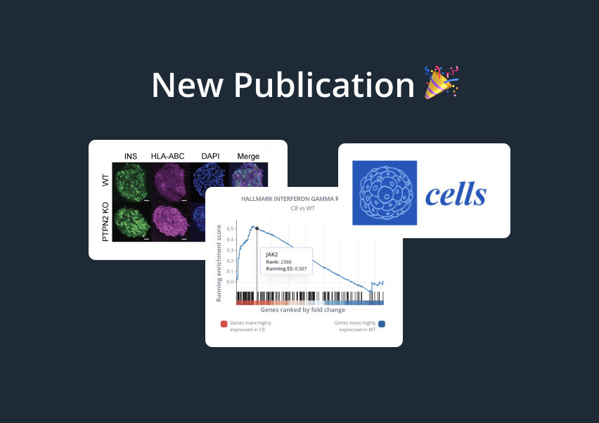 Image for New publication: Stem-Cell-Derived β-Like Cells with a Functional PTPN2 Knockout Display Increased Immunogenicity