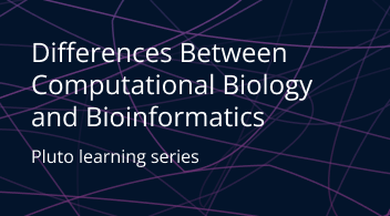 Exploring the Differences Between Computational Biology and Bioinformatics