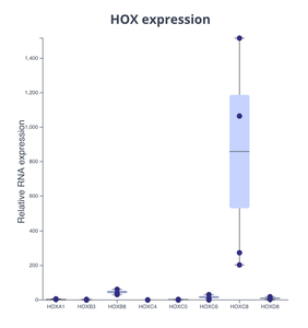 HOX Expression plot for relative RNA expression