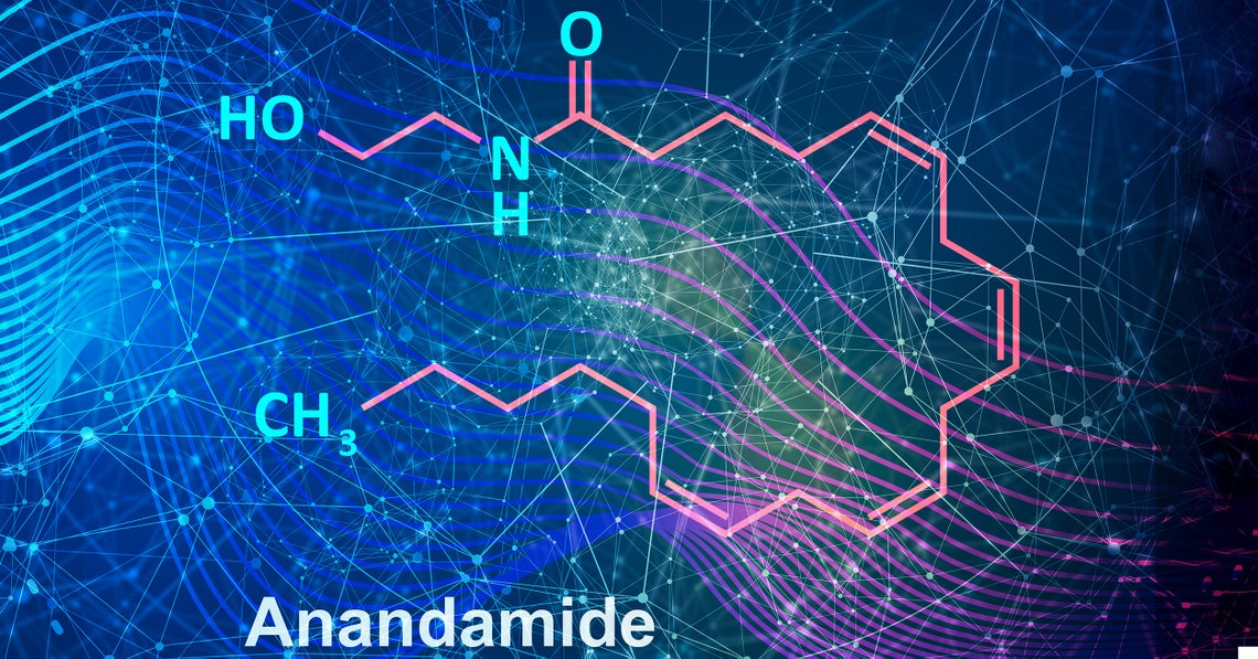 skeletal molecular representation of anandamine