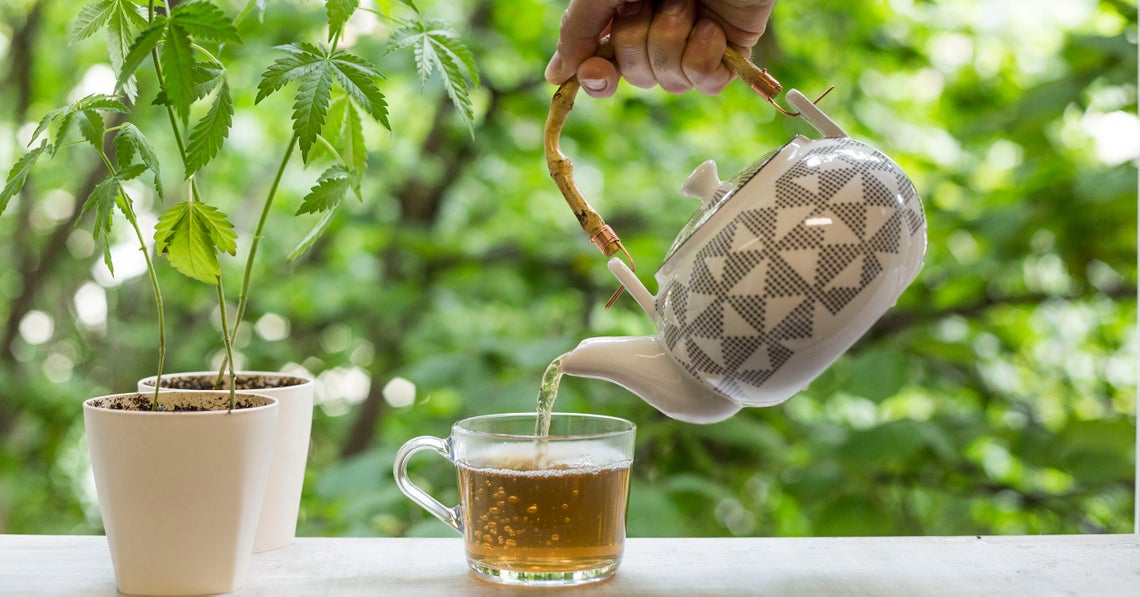 man pouring over cannabis tea