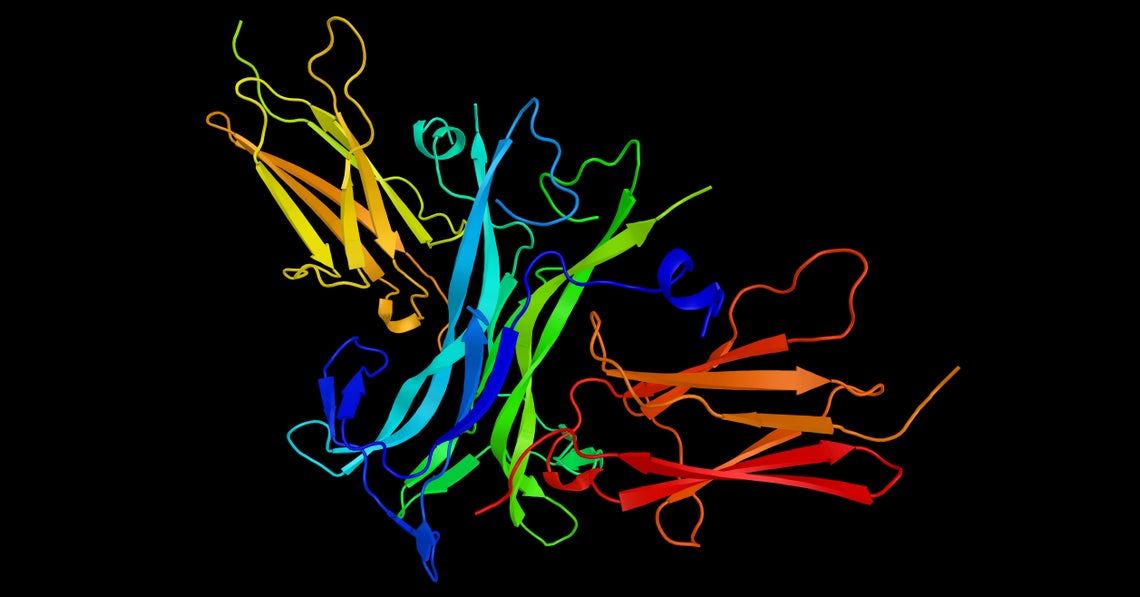 nerve growth factor