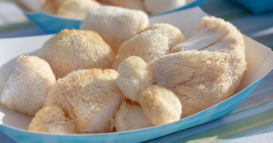 lion's mane mushroom at the market