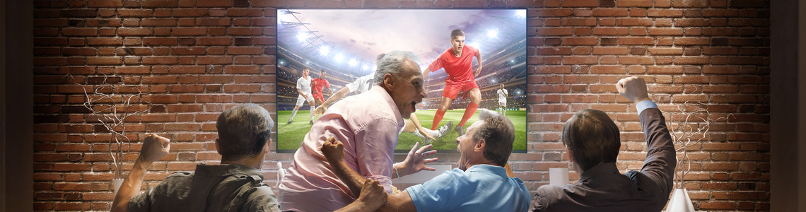 Sitecore.Data.Items.MediaItem?.Alt