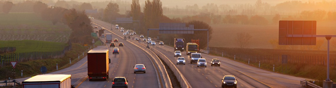 Sitecore.Data.Items.MediaItem?.Alt