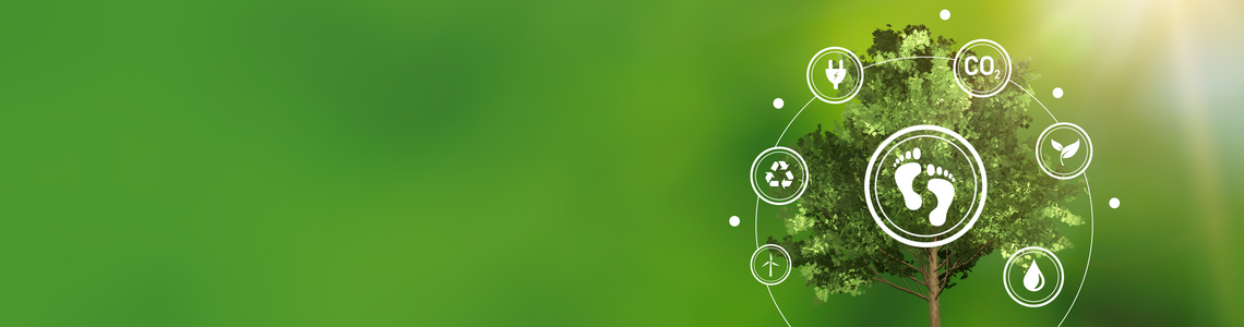 Sitecore.Data.Items.MediaItem?.Alt