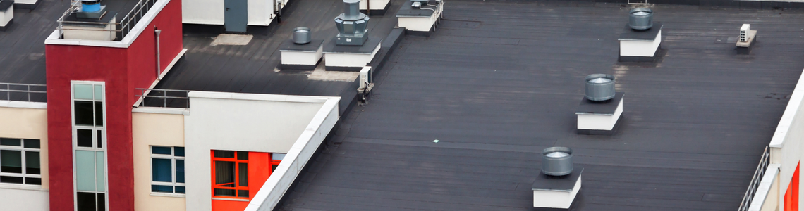 Sitecore.Data.Items.MediaItem?.Alt