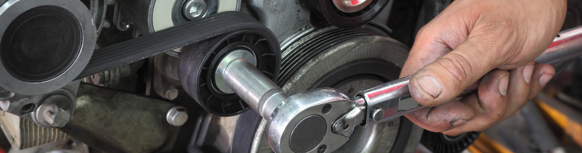 Sitecore.Data.Items.MediaItem?.Alt