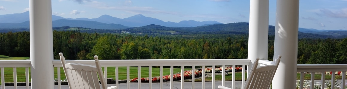 Sitecore.Data.Items.MediaItem?.Alt