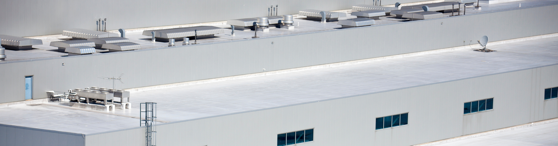 Sitecore.Data.Items.MediaItem?.Alt