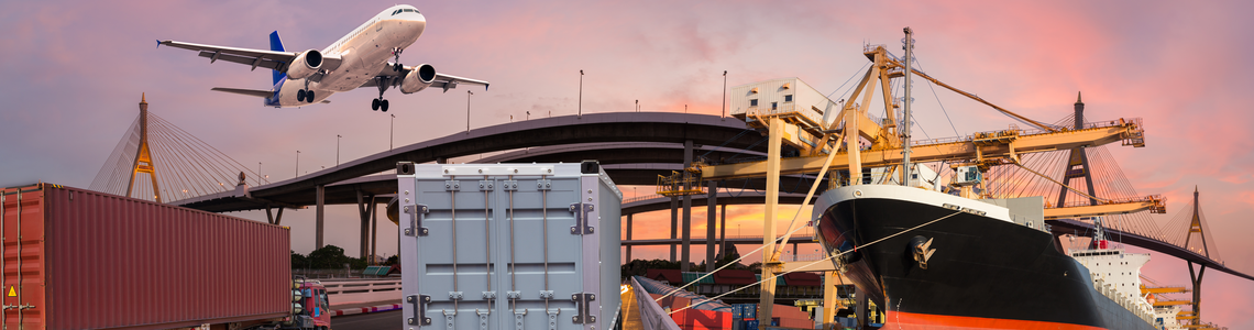 Sitecore.Data.Items.MediaItem?.Alt