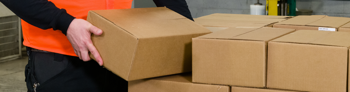 Sitecore.Data.Items.MediaItem?.Alt