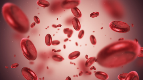 iron deficiency blood cells