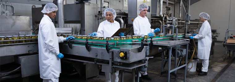 Team of four food processing workers in plant wearing food manufacturing uniforms