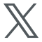 X Icon