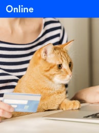 a cat sitting at a laptop with woman holding credit card