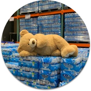 Large stuffed bear laying on pallet of Kirkland Signature Water