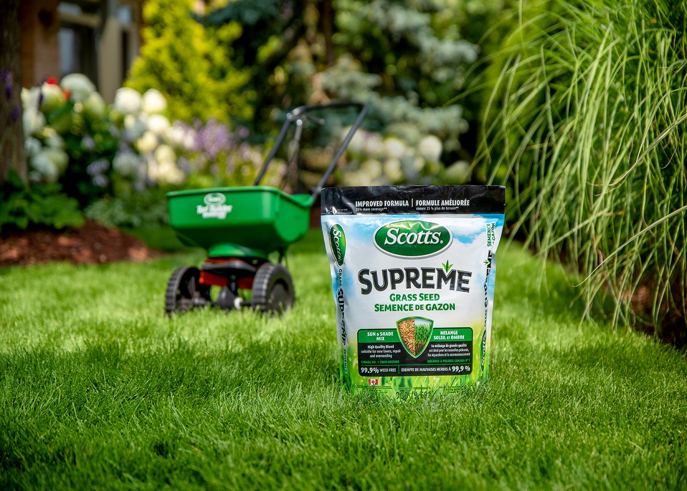 Seeding your Lawn