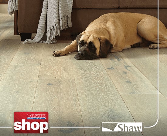 Receive a 15% Costco Shop Card on Qualifying Shaw Carpet and Flooring Purchases