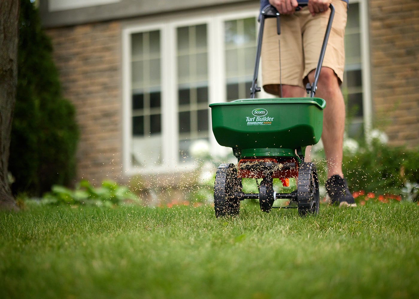 Feeding Your Lawn
