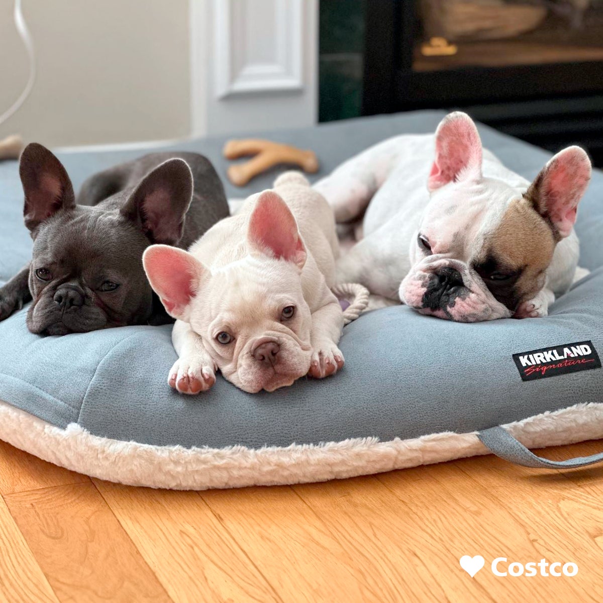 Join Costco