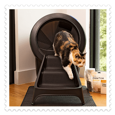 Litter-Robot 4 Self-Cleaning Cat Litter Box Specialty Bundle