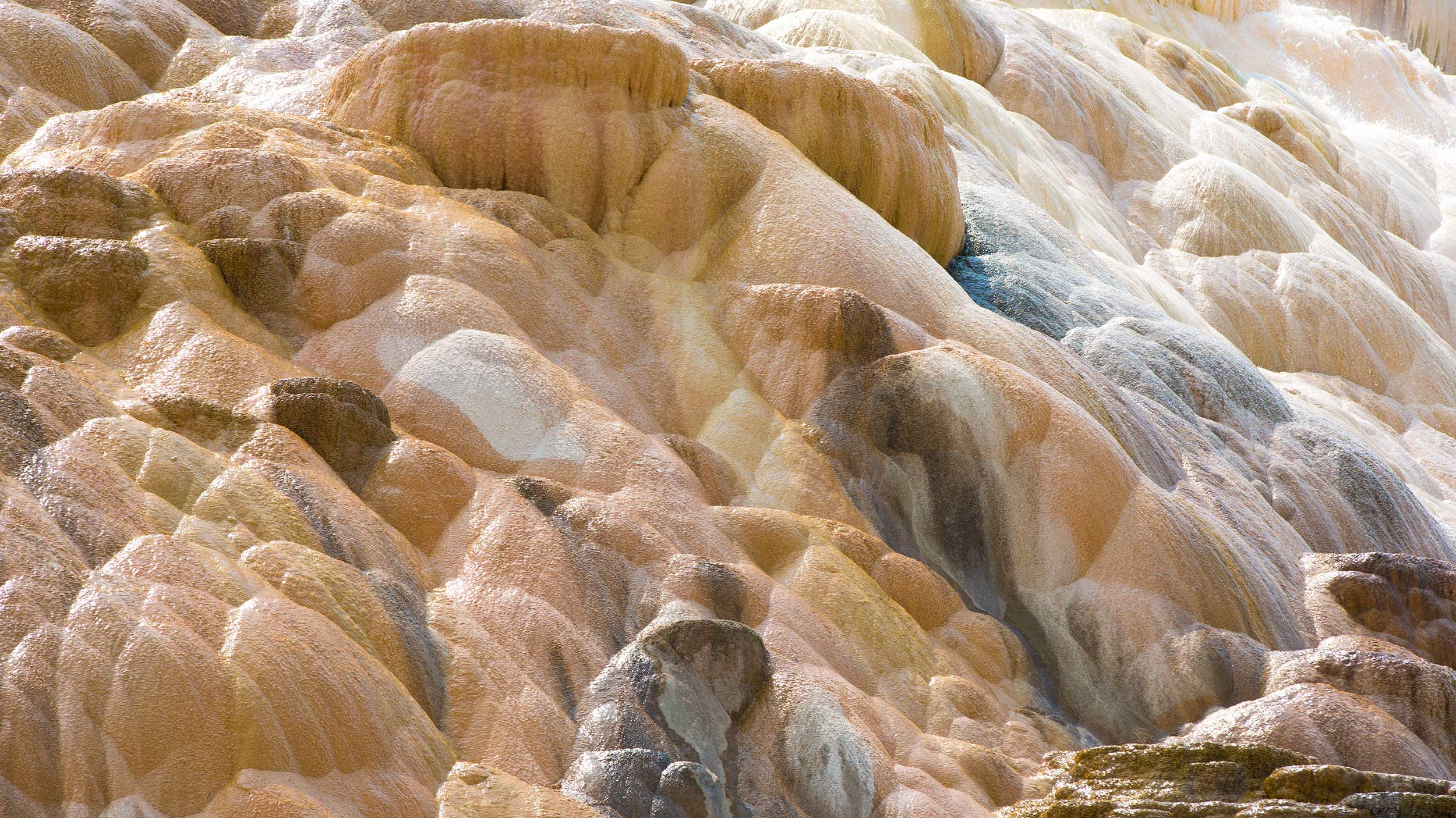 Scale removal service