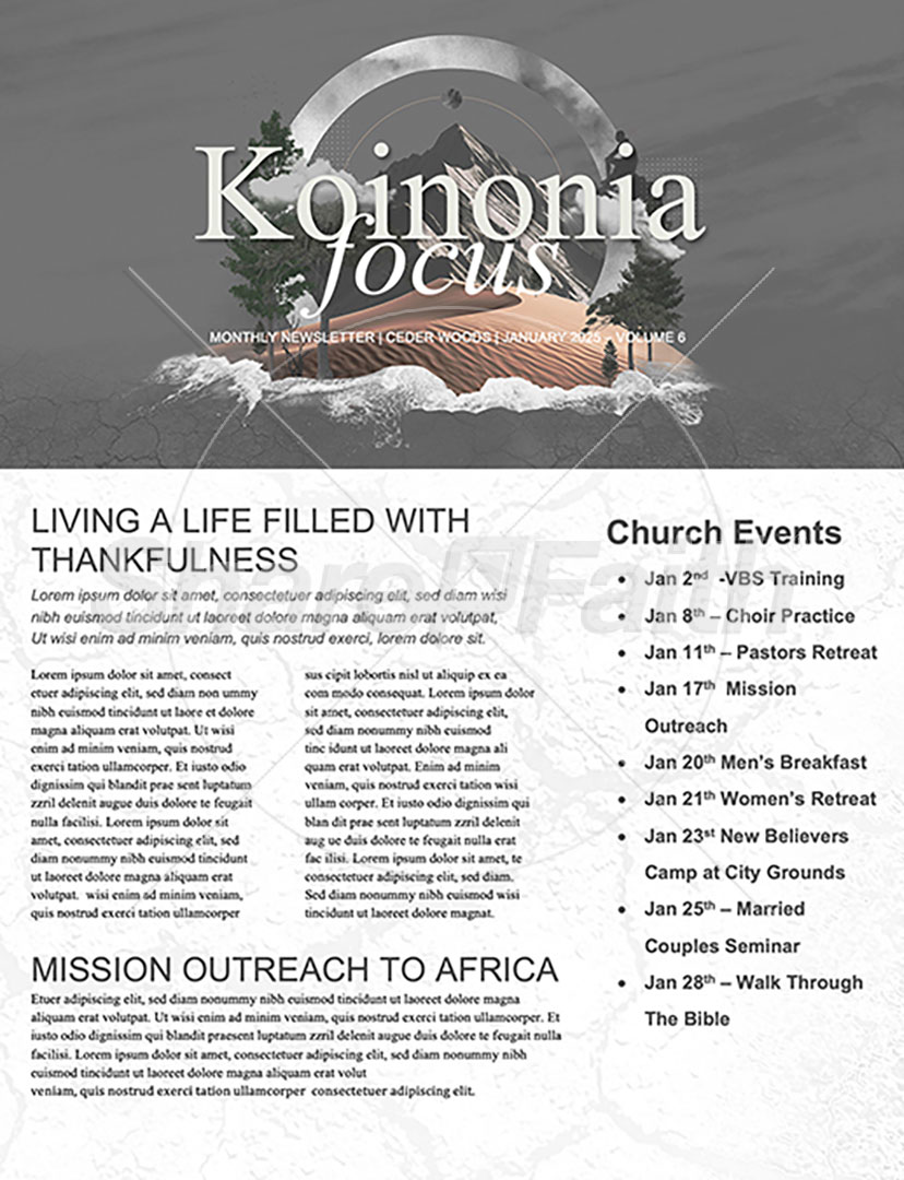 Into the Wilderness: Newsletter