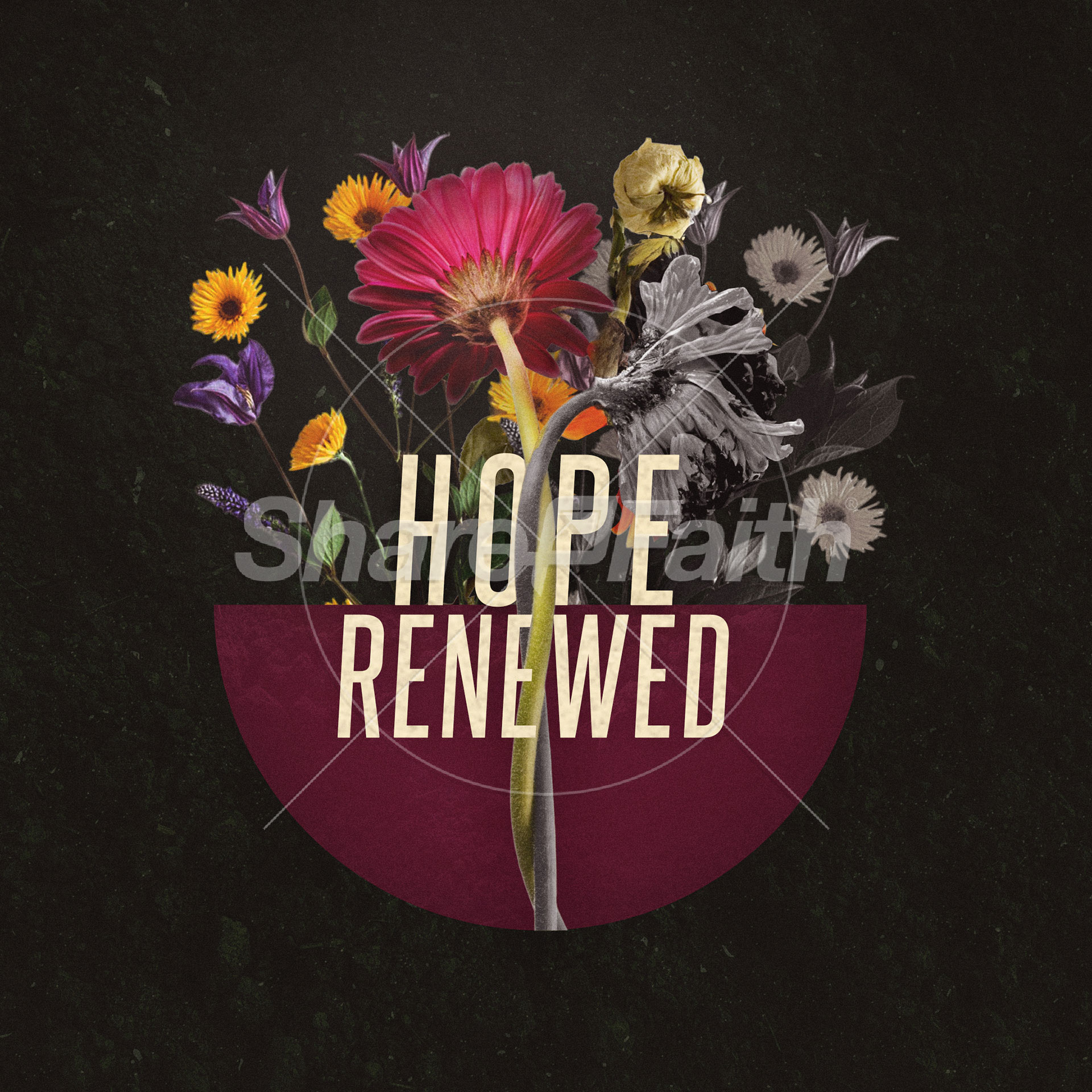 Hope Renewed: Social Media Graphics