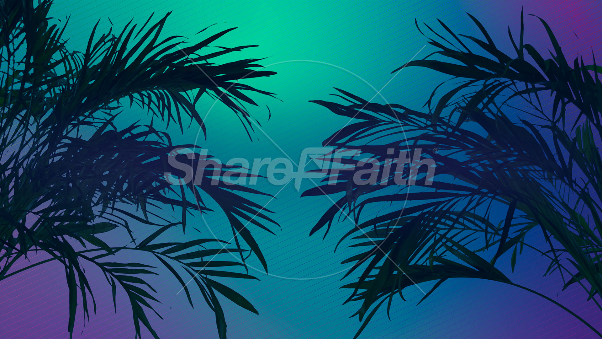 Sun Palms Collection: 9