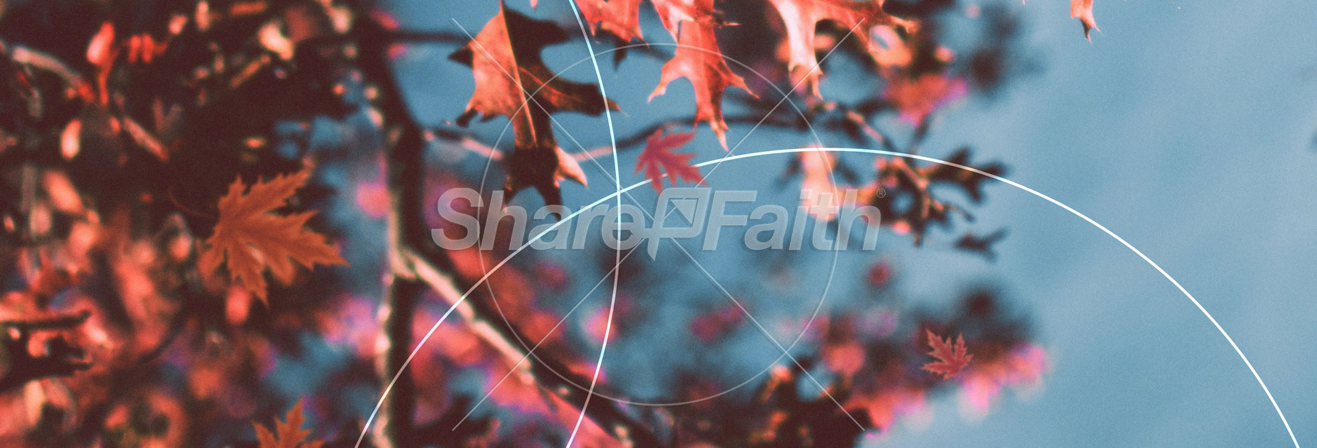 Gratitude Attitude: Web Banner